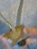 Obraz0281